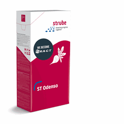 Vis detaljer for Sukkerroer - ST Odenso
 Billede af Sukkerroer - ST Odenso